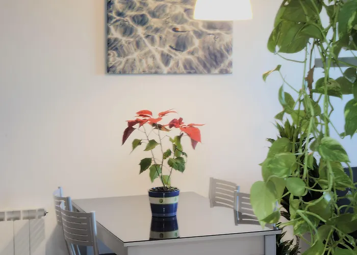 Bahia De Boo Guarnizo